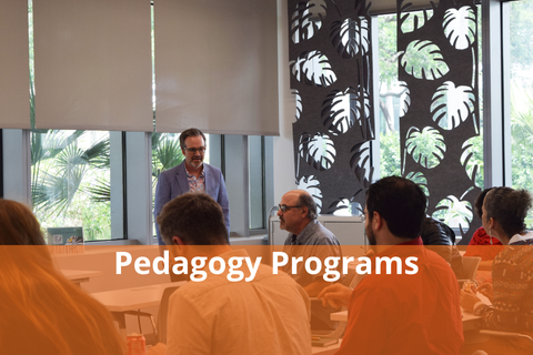 Click here to view Pedagogy Programs - Photo is Decorative